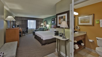 Room, 1 Queen Bed, Accessible, Non Smoking (Mobility,roll-in shower)