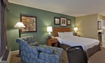 Room, 1 Queen Bed, Accessible, Non Smoking (Mobility,roll-in shower)