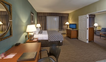 Deluxe Suite, 1 Bedroom, Non Smoking