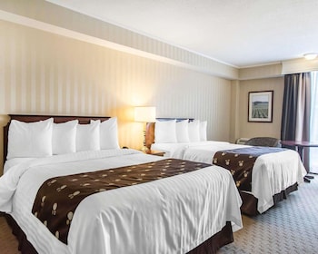 Room, 2 Queen Beds