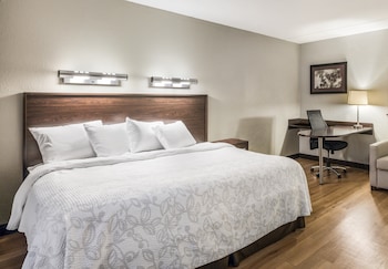 Superior Room, 1 King Bed, Accessible (Roll-In Shower, Smoke Free)