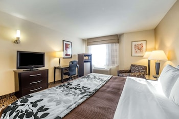 Standard Room, 1 King Bed, Non Smoking