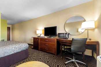Room, 1 King Bed, Accessible, Non Smoking