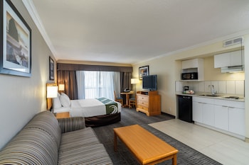 Room, 1 King Bed, Non Smoking (Efficiency, Upgrade)
