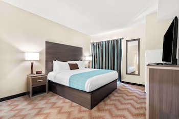 Suite, 1 King Bed, Accessible, Bathtub (with Sofabed)