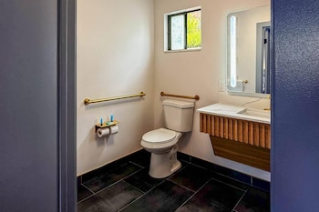 Suite, 1 King Bed, Accessible, Non Smoking (Efficiency, Upgrade)