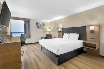 Standard Room, 1 King Bed, Non Smoking, Refrigerator & Microwave (Pet Friendly)