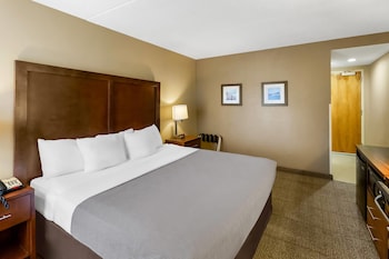 Standard Room, 1 King Bed, Non Smoking