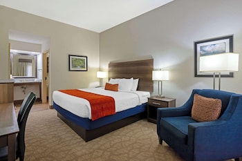 Standard Room, 1 King Bed, Non Smoking, Refrigerator & Microwave
