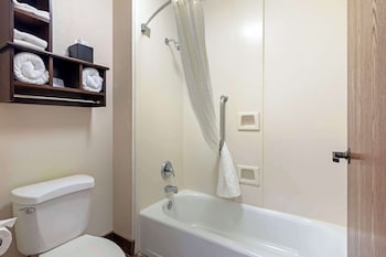 Standard Room, 1 King Bed, Non Smoking, Refrigerator & Microwave
