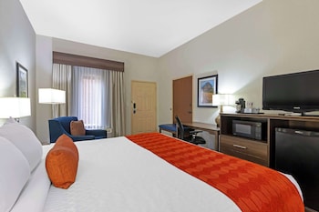 Standard Room, 1 King Bed, Non Smoking, Refrigerator & Microwave