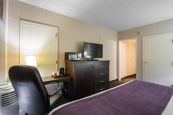 Suite, 1 Queen Bed with Sofa bed, Non Smoking (2 Person Sofa Bed)