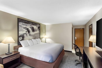 Room, 1 King Bed
