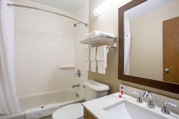 Room, 1 King Bed