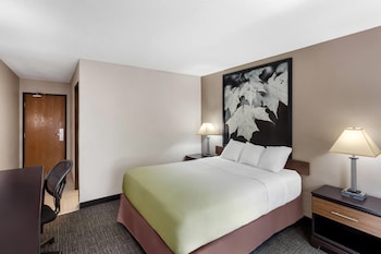 Room, 1 Queen Bed, Non Smoking
