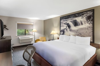 Room, 1 King Bed