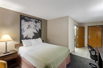 Room, 1 Queen Bed, Accessible, Non Smoking (Mobility)