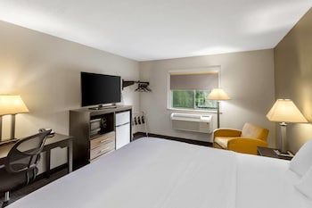 Room, 1 King Bed