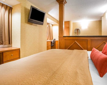 Suite, 1 King Bed