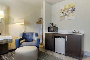 Standard Room, 1 King Bed, Non Smoking, Refrigerator & Microwave