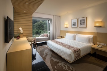 Premier Room, 1 King Bed