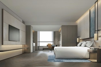Room, 1 King Bed with Sofa bed