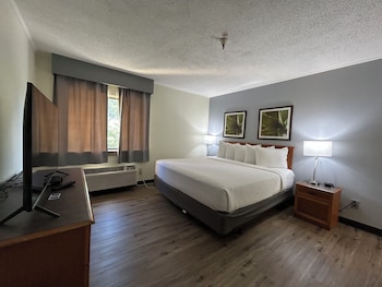 Studio Suite, 1 King Bed, Non Smoking