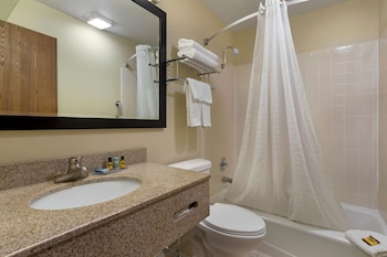 Standard Room, 1 King Bed, Non Smoking, Refrigerator & Microwave