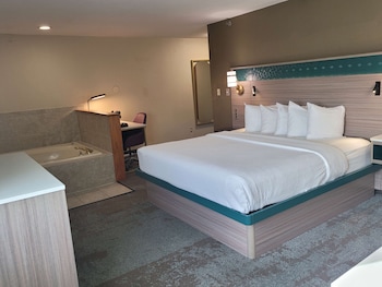 Standard Room, 1 King Bed, Non Smoking, Jetted Tub (with Sofabed)