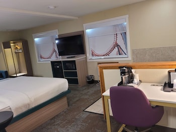 Standard Room, 1 King Bed, Non Smoking, Jetted Tub (with Sofabed)