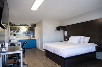 Eco Delight: King Bed Non-Smoking