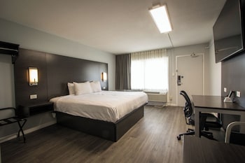 Eco Delight: King Bed Smoking