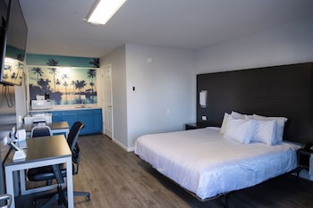 King Bed Accessible Non-Smoking (Pet)