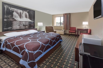 Room, 1 King Bed, Non Smoking