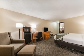 Standard Room, 1 King Bed, Non Smoking
