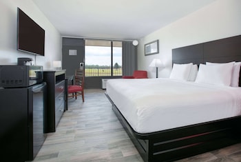 Room, 1 King Bed, Non Smoking (Pet-Friendly, Exterior)