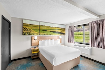 Suite, 1 Queen Bed