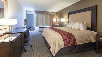Superior Room, 1 King Bed, Non Smoking