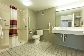 Deluxe Room, 2 Double Beds, Roll-in Shower, Non Smoking (Accessible)