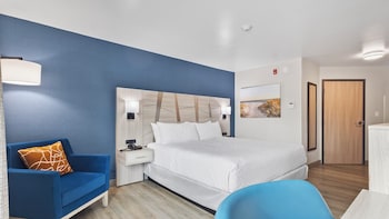 Standard Room, 1 King Bed, Accessible, Non Smoking