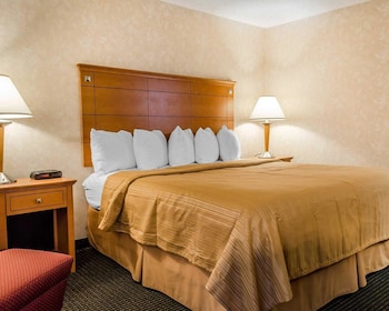 Business Room, 1 King Bed, Non Smoking