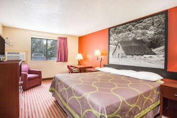 Room, 1 King Bed, Non Smoking