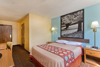 1 Queen Mobility Accessible Room