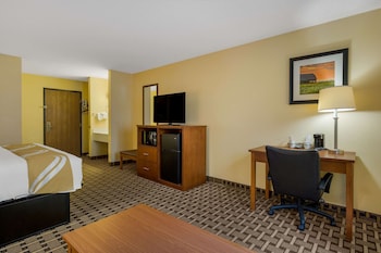 Standard Room, 1 King Bed with Sofa bed, Non Smoking