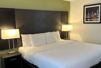 Room, 1 King Bed, Mobility Accessible, Non Smoking (Walk-in Shower)