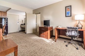 Suite, 1 Bedroom, Non Smoking