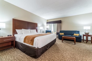 Suite, 1 King Bed with Sofa bed, Non Smoking