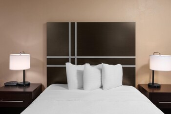 Room, 1 Queen Bed, Non Smoking (No Pets)