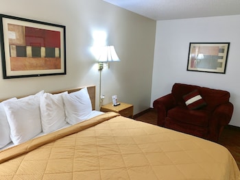 Room, 1 King Bed, Non Smoking