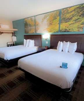 Suite, Multiple Beds